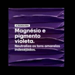 Serie Expert [Silver] Bonito cabelo prateado - Shampoo - Image 5